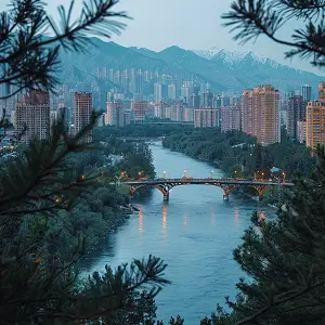 周佳怡什么含义的